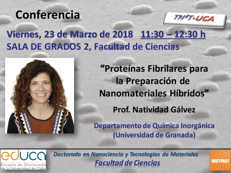 Conferencia: “Proteínas Fibrilares para la Preparación de Nanomateriales Híbridos​​​”