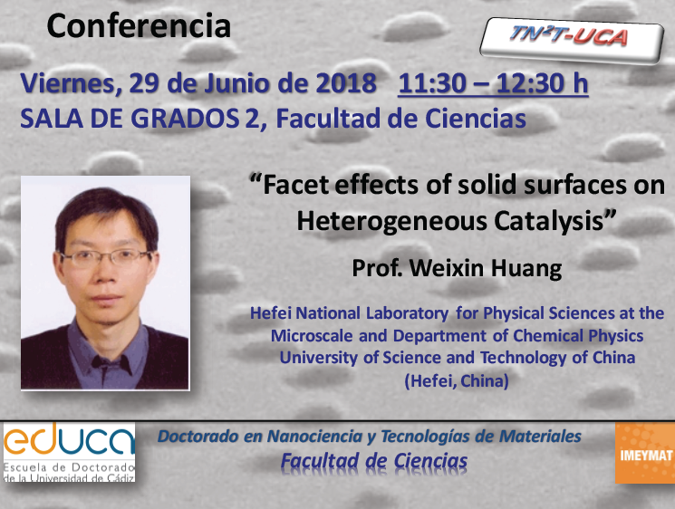 Conferencia: “Facet effects of solid surfaces on Heterogeneous Catalysis”