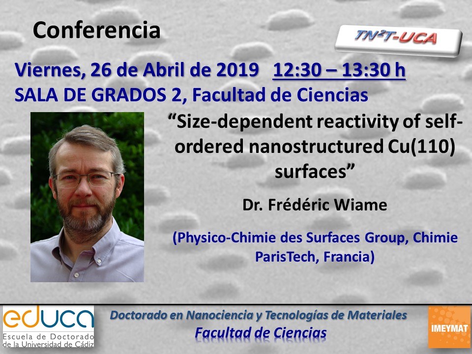 Conferencia: Size-dependent Reactivity of Self-ordered Nanostructured Cu(110) Surfaces – 26/04