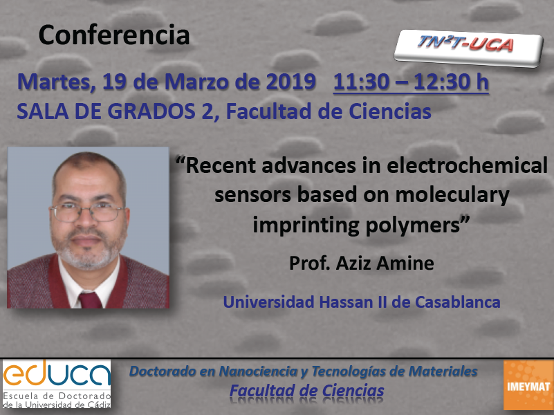 Conferencia: Recent Advances in Electrochemical Sensors based on Moleculary Imprinting Polymers – 19/03