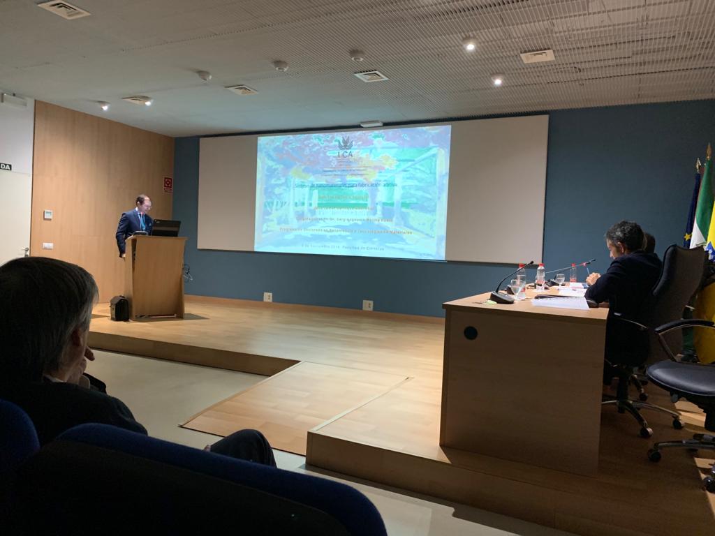 PhD Thesis Defense at IMEYMAT, José Javier Relinque, 8th November 2019