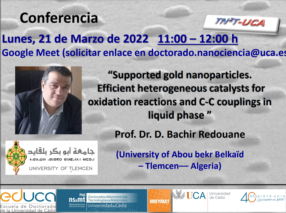 Conference “Supported gold nanoparticles.  Efficient heterogeneous catalysts for oxidation reactions and C-C couplings in liquid phase”-21/03