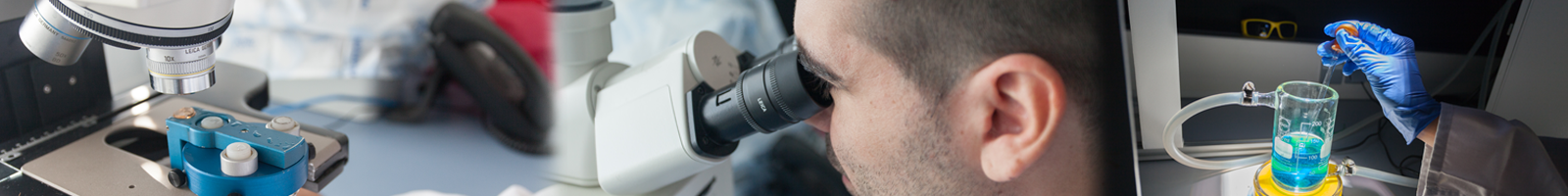 Fondo Cabecera General