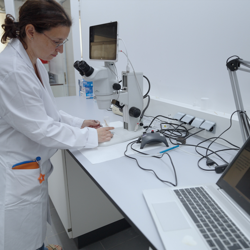 Servicios centrales de investigación en ciencia y tecnología